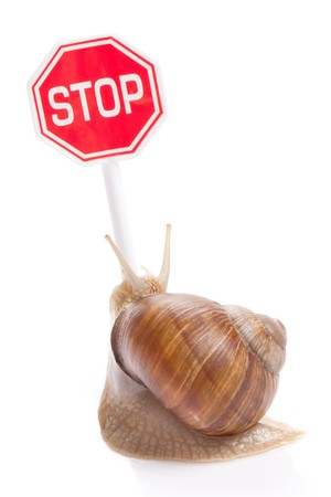 the garden snail and stop traffic signの写真素材