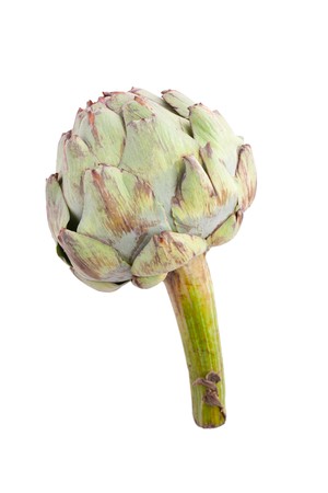 photo shot of green artichoke on white backgroundの写真素材