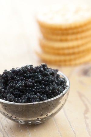  the black caviarの写真素材