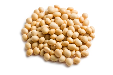 the soya beans on white backgroundの写真素材