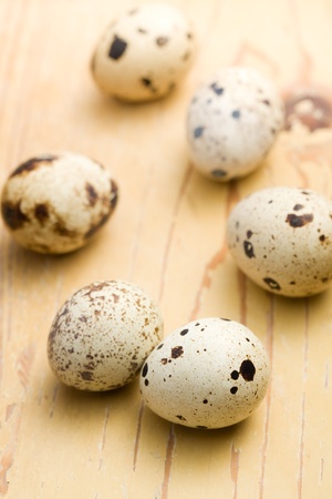 the quail eggs on kitchen tableの写真素材