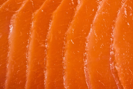 photo shot of salmon meat textureの写真素材