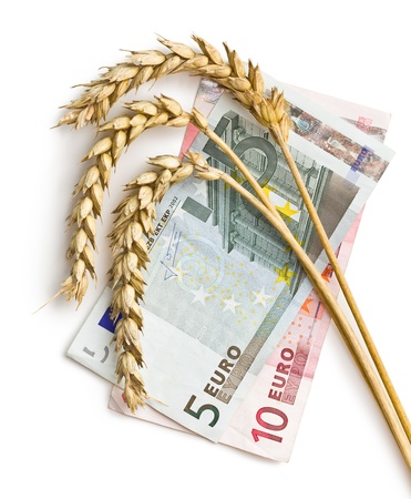 wheat ears with euro money on white backgroundの写真素材