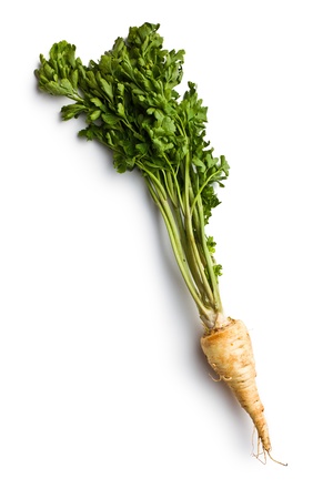 fresh parsnip on white backgroundの写真素材