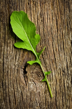 fresh arugula leaf on wooden tableの写真素材