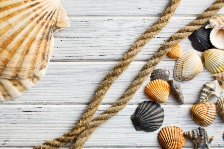 the sea shells and rope on wooden tableの写真素材