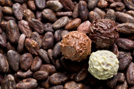 close up of chocolate truffles on cocoa beansの写真素材