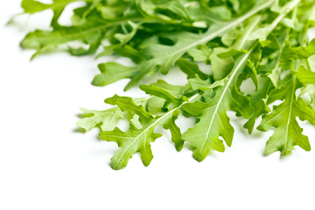 arugula leaves on white backgroundの写真素材