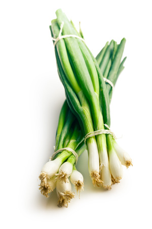 fresh spring onion on white backgroundの写真素材