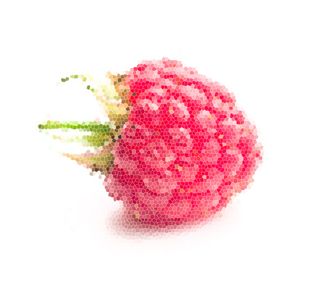 mosaic fruit. raspberry on white backgroundの写真素材