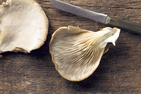 Oyster mushroom on wooden tableの写真素材