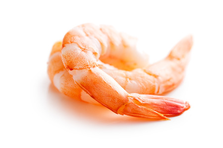 tasty prawns on white backgroundの写真素材