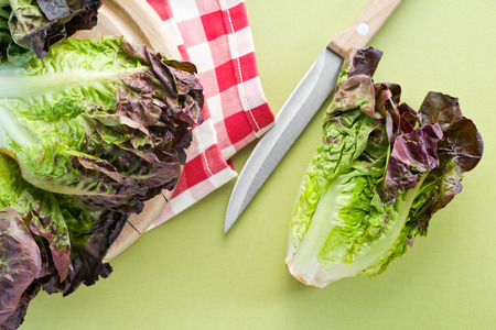 the red lettuce on green tableの写真素材