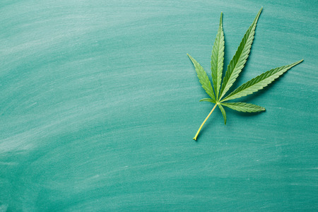 cannabis leaf on a chalkboardの写真素材