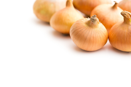 raw onions on white backgroundの写真素材