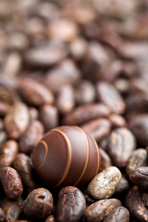 the chocolate praline and cocoa beansの写真素材