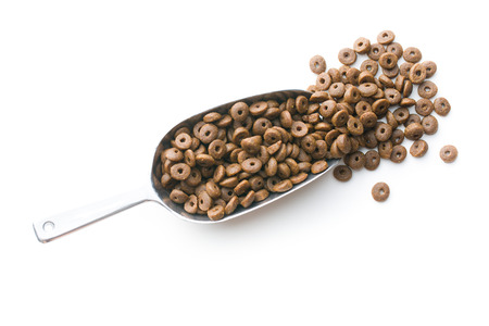 Dry kibble dog food in metal scoop  isolated on white background. Top view.