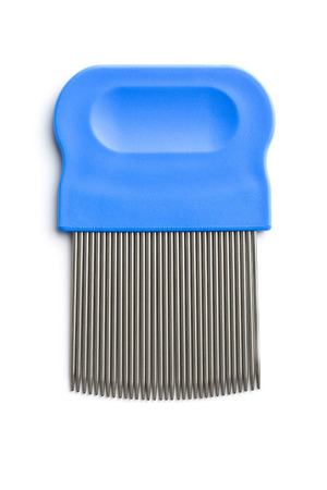 Comb for combing out lice. Isolated on white background.の写真素材