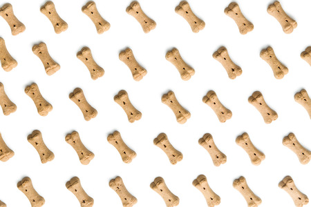 Dog food shaped like bones isolated on white background.の写真素材