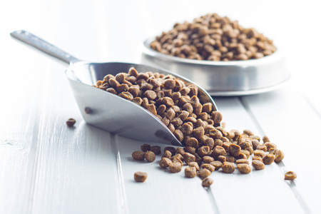 Dried food for dogs or cats in scoop.