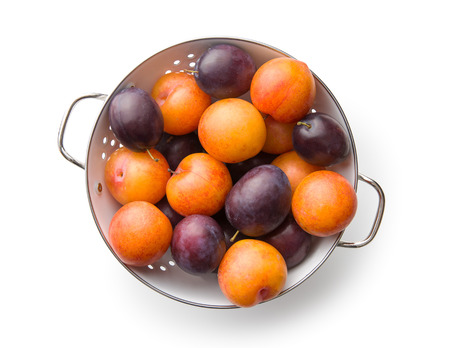 Yellow and purple plums in colander. Top view.の写真素材