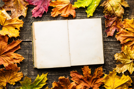 Book and autumn leaves on old wooden table. Top view.の写真素材