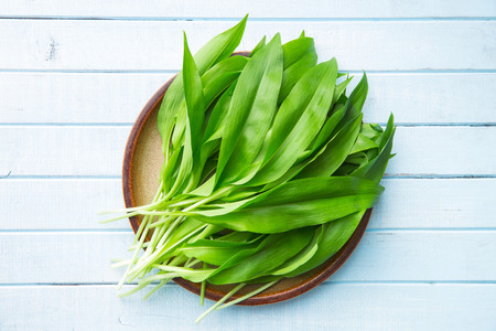 Ramson or wild garlic leaves on plate. Top view.の写真素材