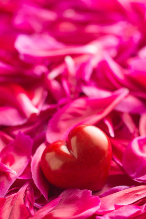The heart on peony petals background. Love concept.の写真素材