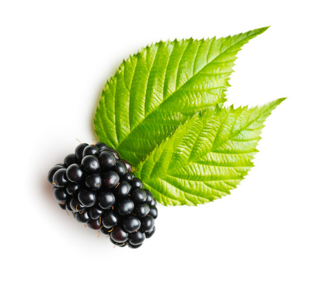 Tasty ripe blackberry and leaves isolated on white background.の写真素材