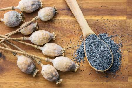 Dried poppy heads and seeds. Blue poppy. Top view.の写真素材