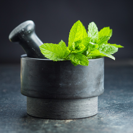 Branch mint leaves in mortar.の写真素材