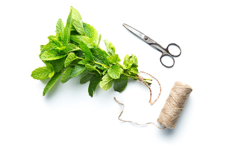 Branch mint leaves and thread with scissors isolated on white background.