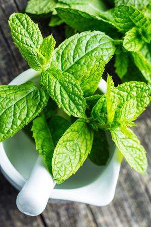 branch mint leaves in mortar.の写真素材