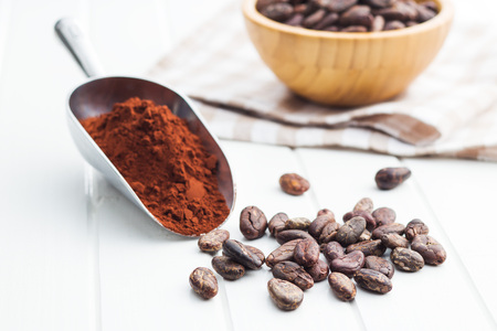 Dark cocoa powder in metal scoop and cocoa beans on white table.の写真素材