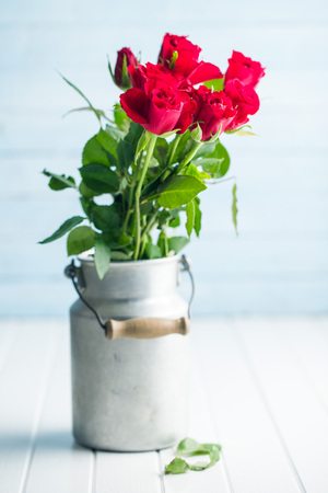 Red rose flower in can on white table.の写真素材