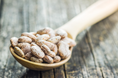 Dried borlotti beans in wooden spoon.