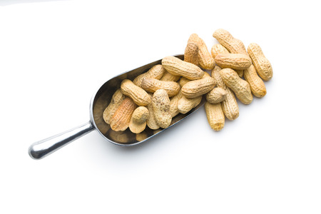 The unpeeled peanuts in scoop isolated on white background.