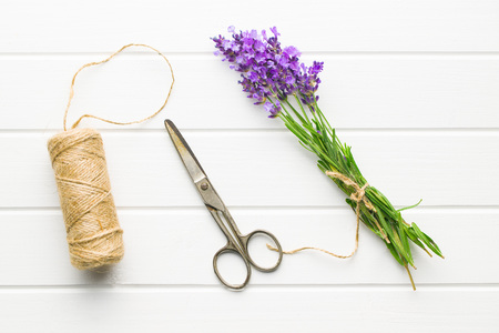 The lavender flowers with scissors and thread.の写真素材