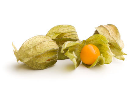 Physalis peruviana fruit isolated on white background.の写真素材