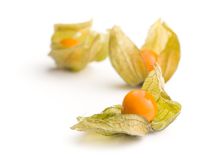 Physalis peruviana fruit isolated on white background.の写真素材