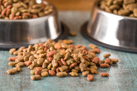 Dry pet food. Dry kibble food on old table.