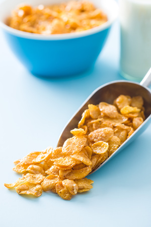 Breakfast cereals or cornflakes in scoop on blue background.
