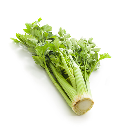 Bunch of fresh celery stalk isolated on white background.の写真素材
