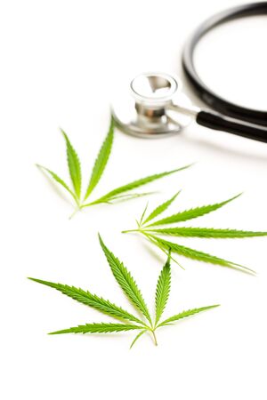 Marijuana cannabis leaves and stethoscope isolated on white background.の写真素材