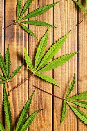 Marijuana cannabis leaves on wooden table. Top view.の写真素材