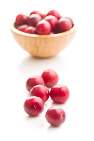 The red cherry plums fruit isolated on white background.の写真素材