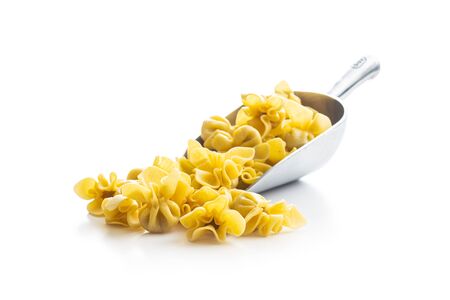 Italian stuffed pasta in scoop. Sacchettini pasta isolated on white background.の写真素材