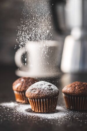 Tasty chocolate muffins. Sweet cupcakes sprinkled with sugar.の写真素材