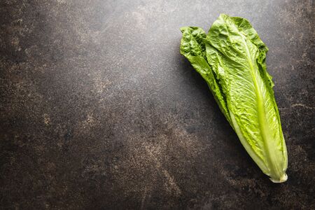 Fresh green Romaine Lettuce. Leaves of Lactuca sativa on old kitchen table. Top view.の写真素材