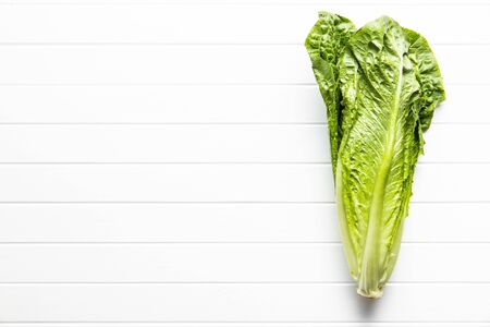 Fresh green Romaine Lettuce. Leaves of Lactuca sativa on white table. Top view.の写真素材